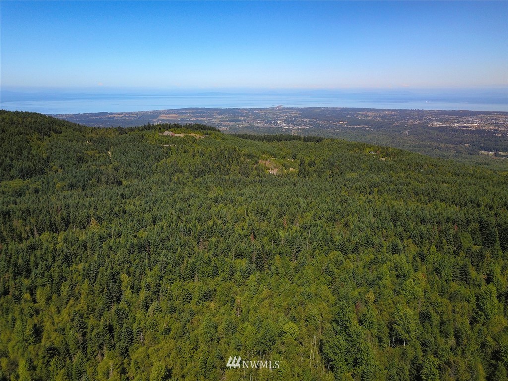 999 Olympic Ridge Road Sequim, WA 98382 - Photo 3 of 25 Gallery Image 3