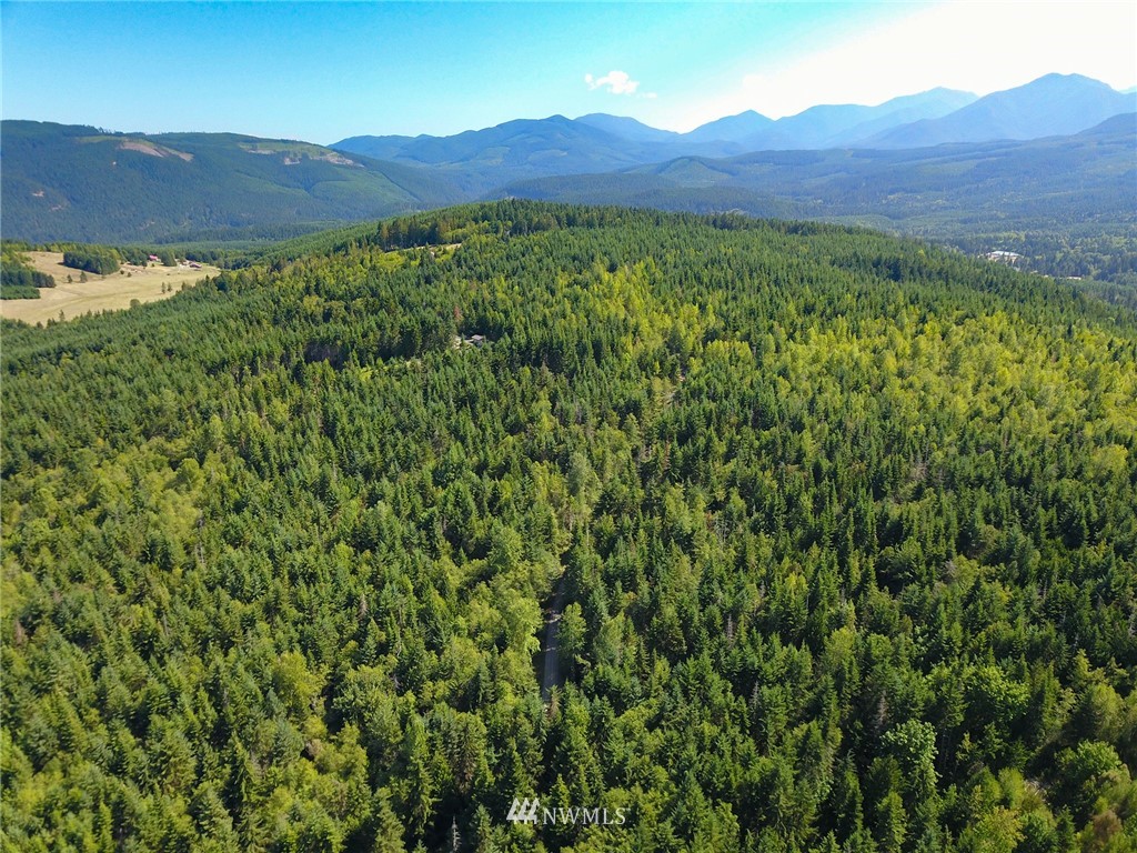 999 Olympic Ridge Road Sequim, WA 98382 - Photo 22 of 25 Gallery Image 22