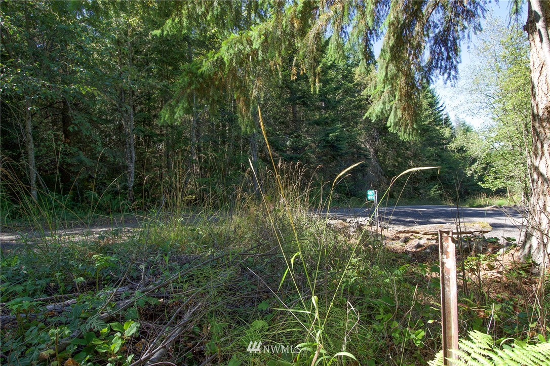 999 Olympic Ridge Road Sequim, WA 98382 - Photo 5 of 25 Gallery Image 5