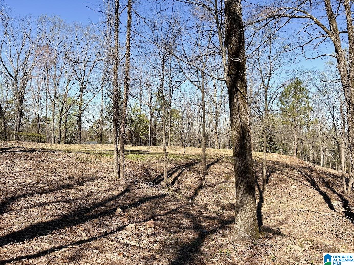 3300 Sherwood Road Birmingham, AL 35223 - Photo 13 of 16