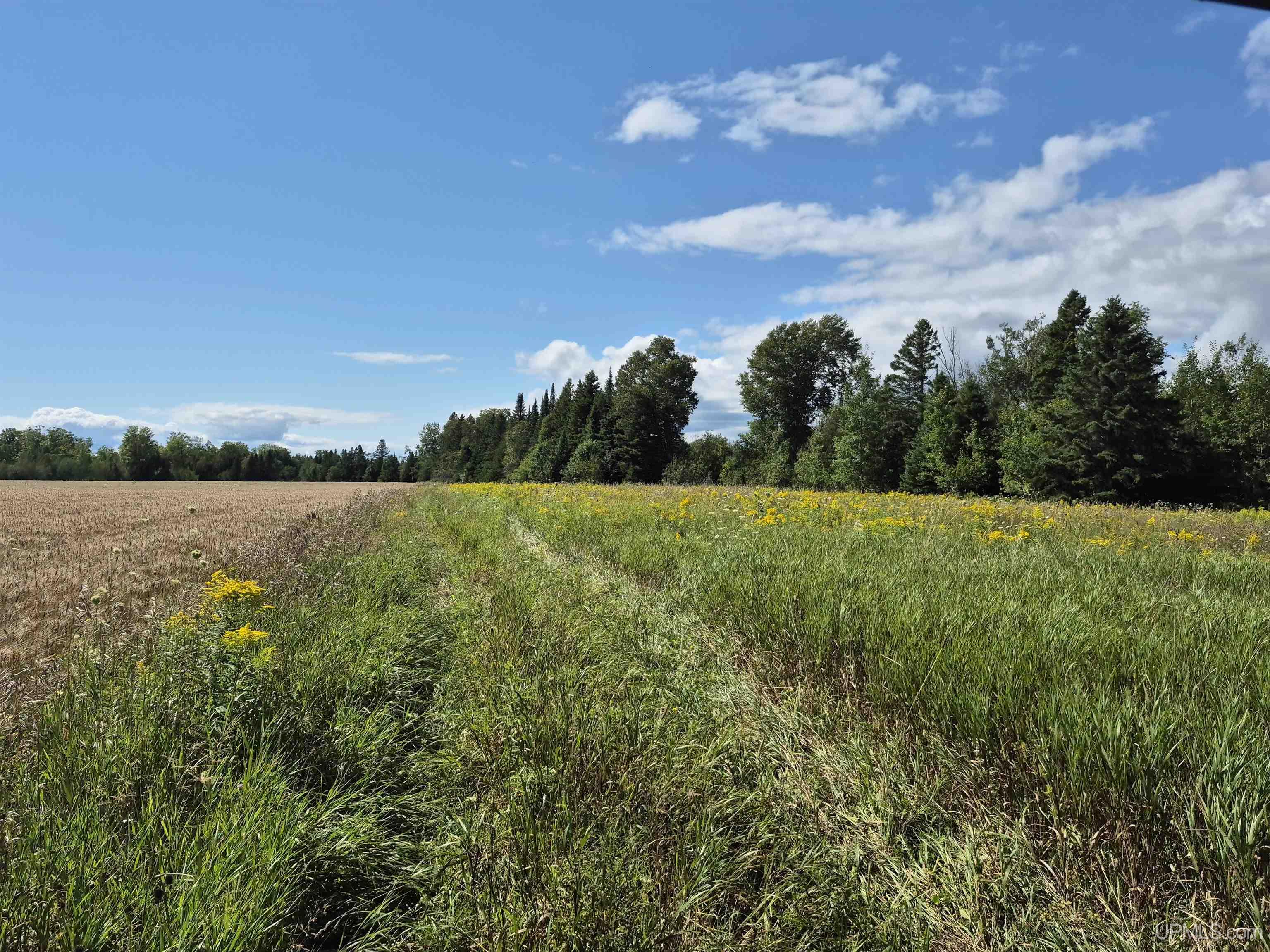 160-acres Halverson Road Gulliver, MI 49840 - Photo 25 of 35