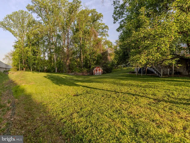 a view of a field with trees in the background