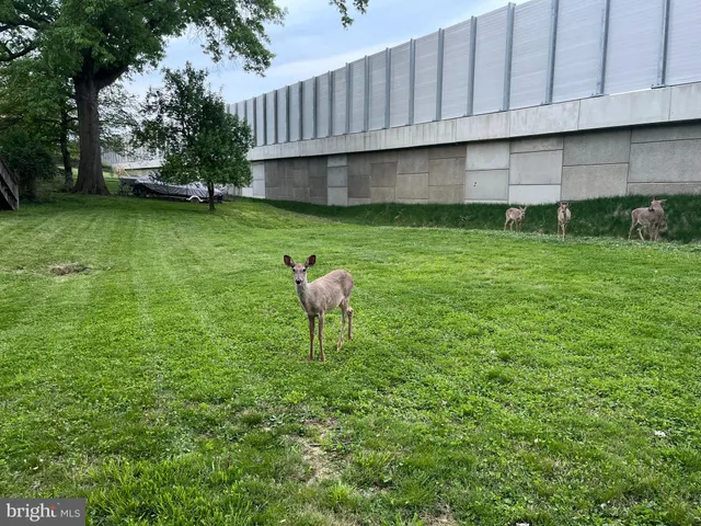 a view of a backyard with sitting area