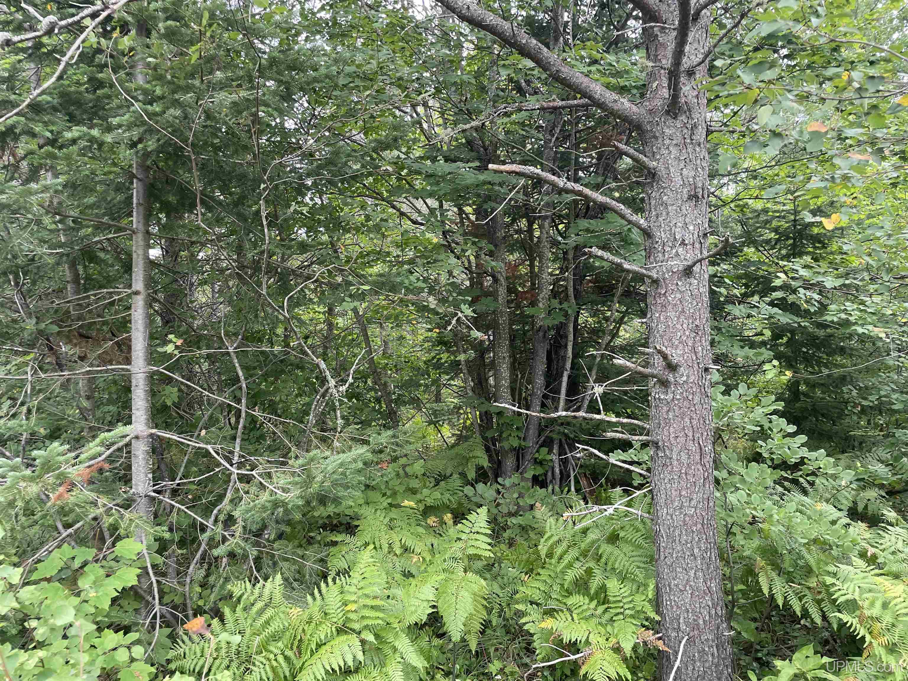 456 North Rd Little Lake Little Lake, MI 49833 - Photo 19 of 29