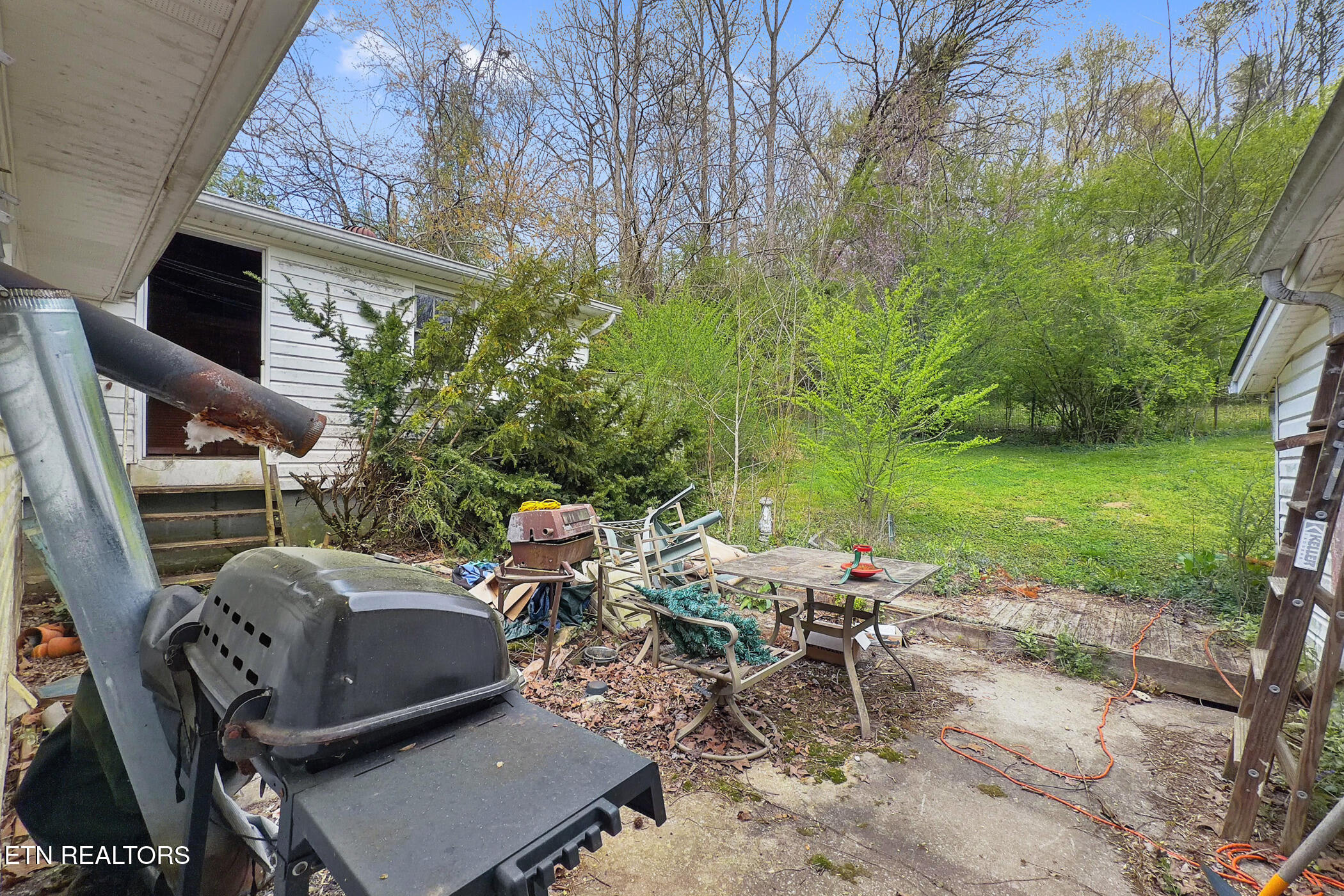 1447 Webster Road Harriman, TN 37748 - Photo 19 of 20 img_0211