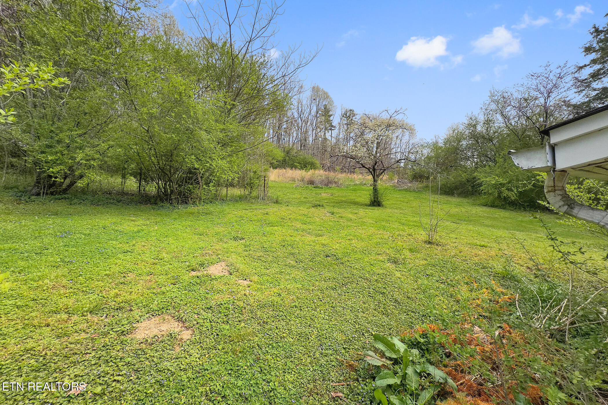 1447 Webster Road Harriman, TN 37748 - Photo 4 of 20 img_0221