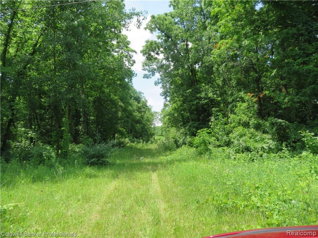 0 South Morrice Road Morrice, MI 48857 - Photo 4 of 7