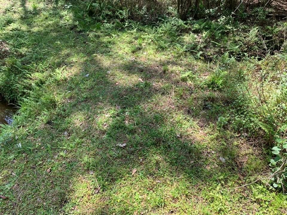 26264 Feely Road Elberta, AL 36530 - Photo 25 of 30