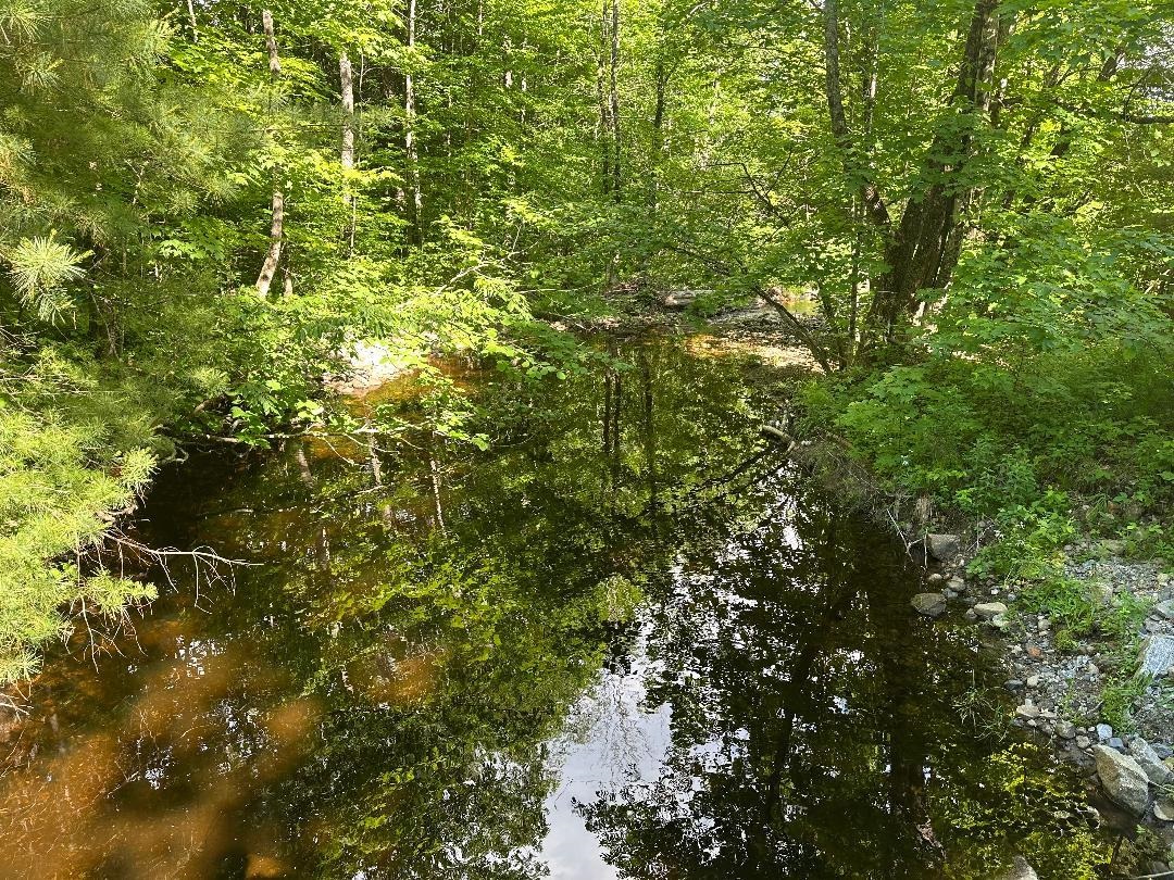Lot#4 Frescoln Road Wentworth, NH 03282 - Photo 2 of 8 Gallery Image 2