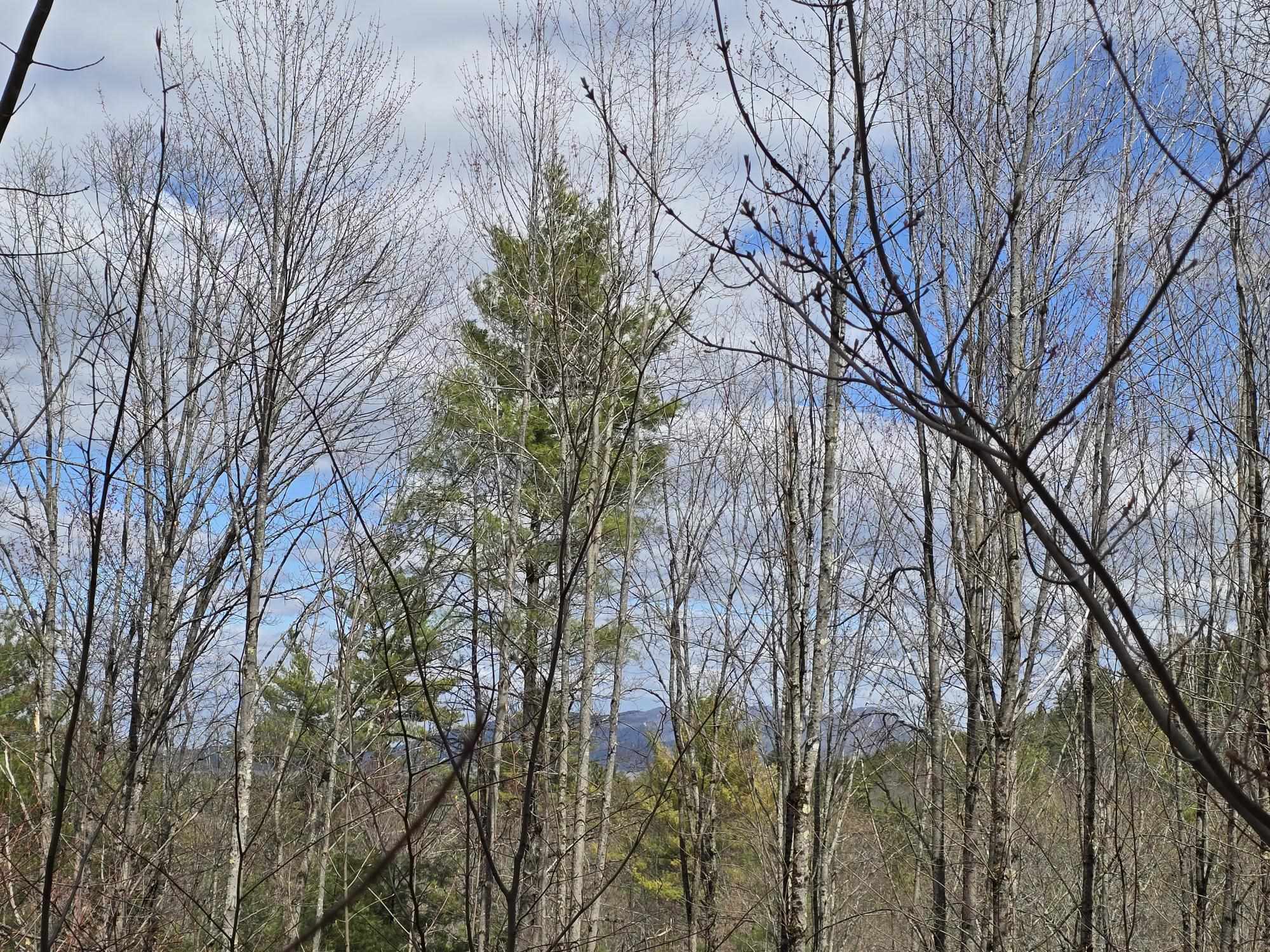 0 Haley Town Road Brownfield, ME 04010 - Photo 3 of 7