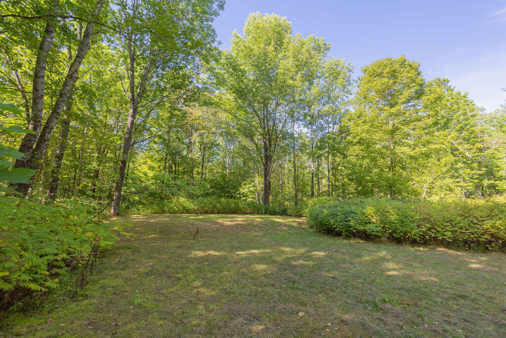815 West Side Road Weld, ME 04285 - Photo 32 of 35 taylor-kaminsky-photo-30