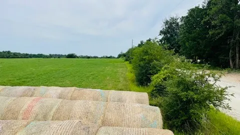a view of a outdoor space