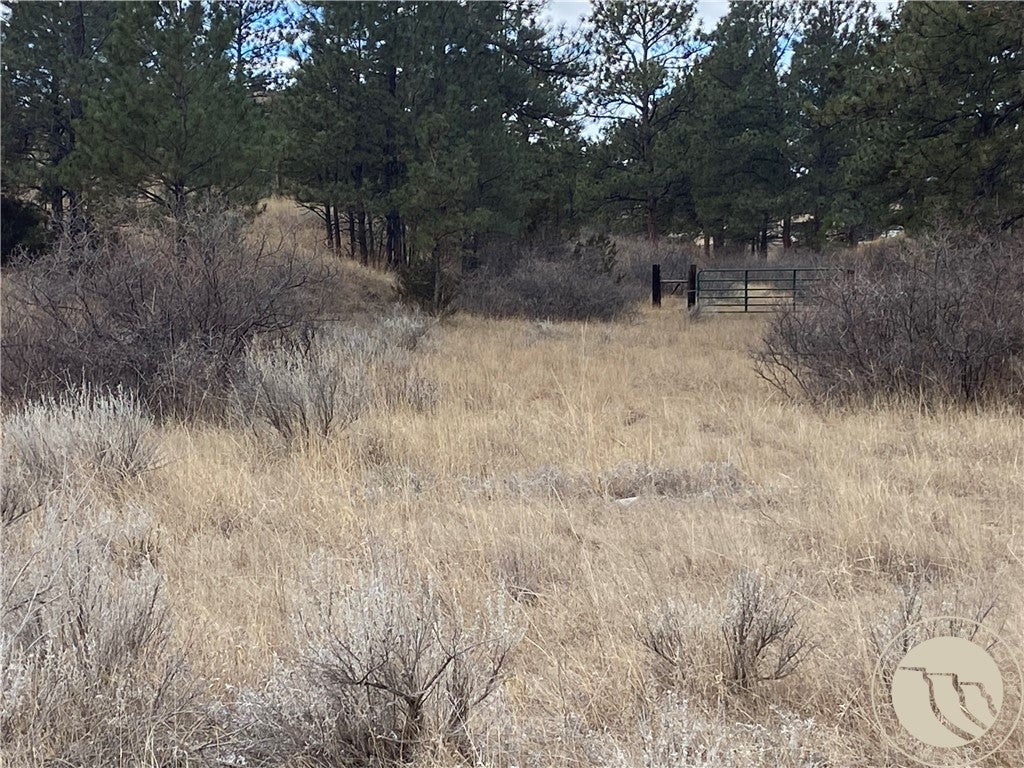 Tbd Tbd Gribben Road Custer, MT 59024 - Photo 3 of 7 Easement