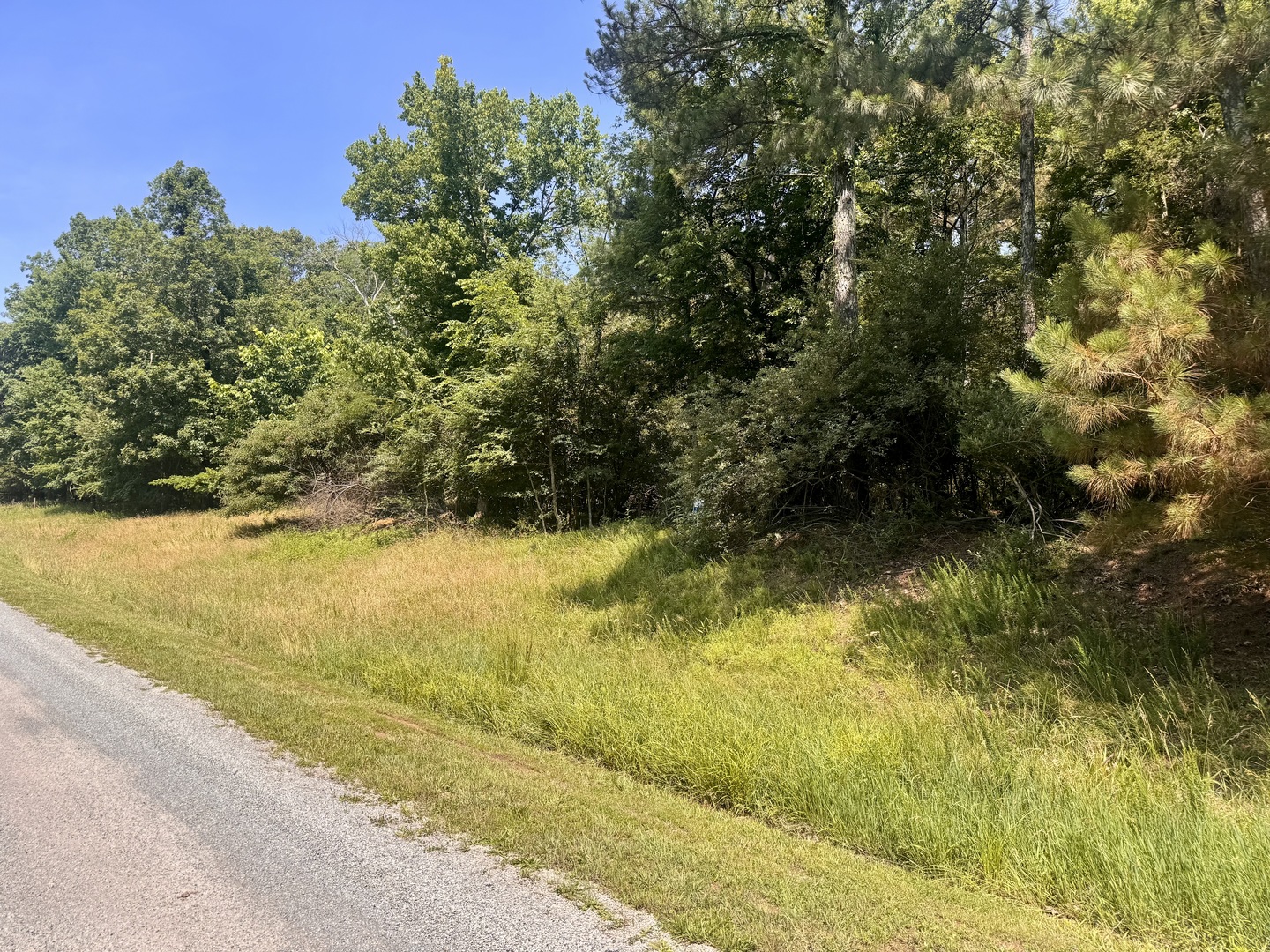 Lot 273-274 Rocky Point Road Goreville, IL 62939 - Photo 8 of 11