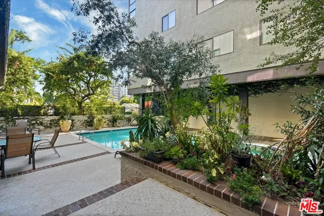 a view of a garden with plants