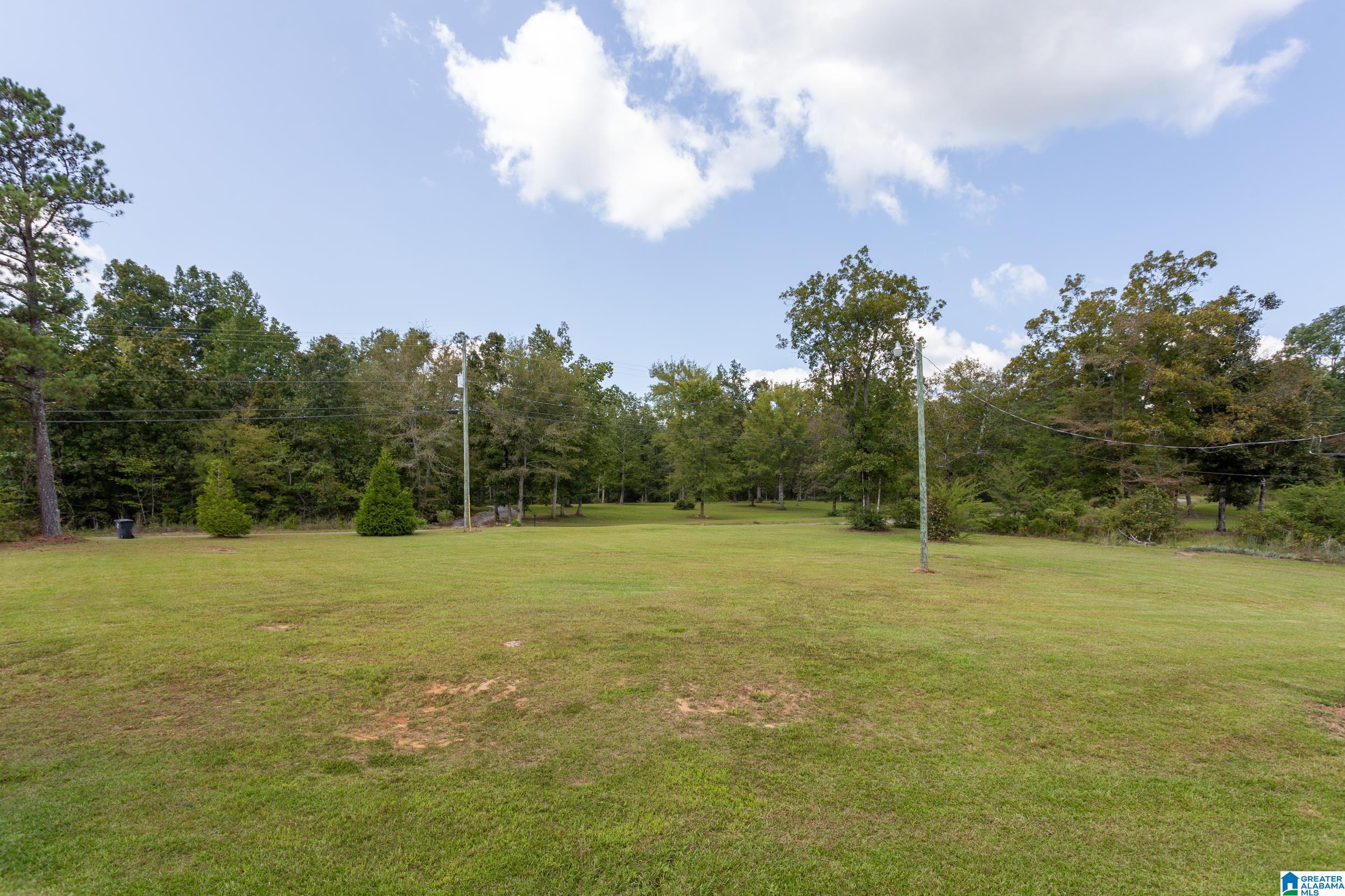 1182 Lynch Lake Road Odenville, AL 35120 - Photo 6 of 39