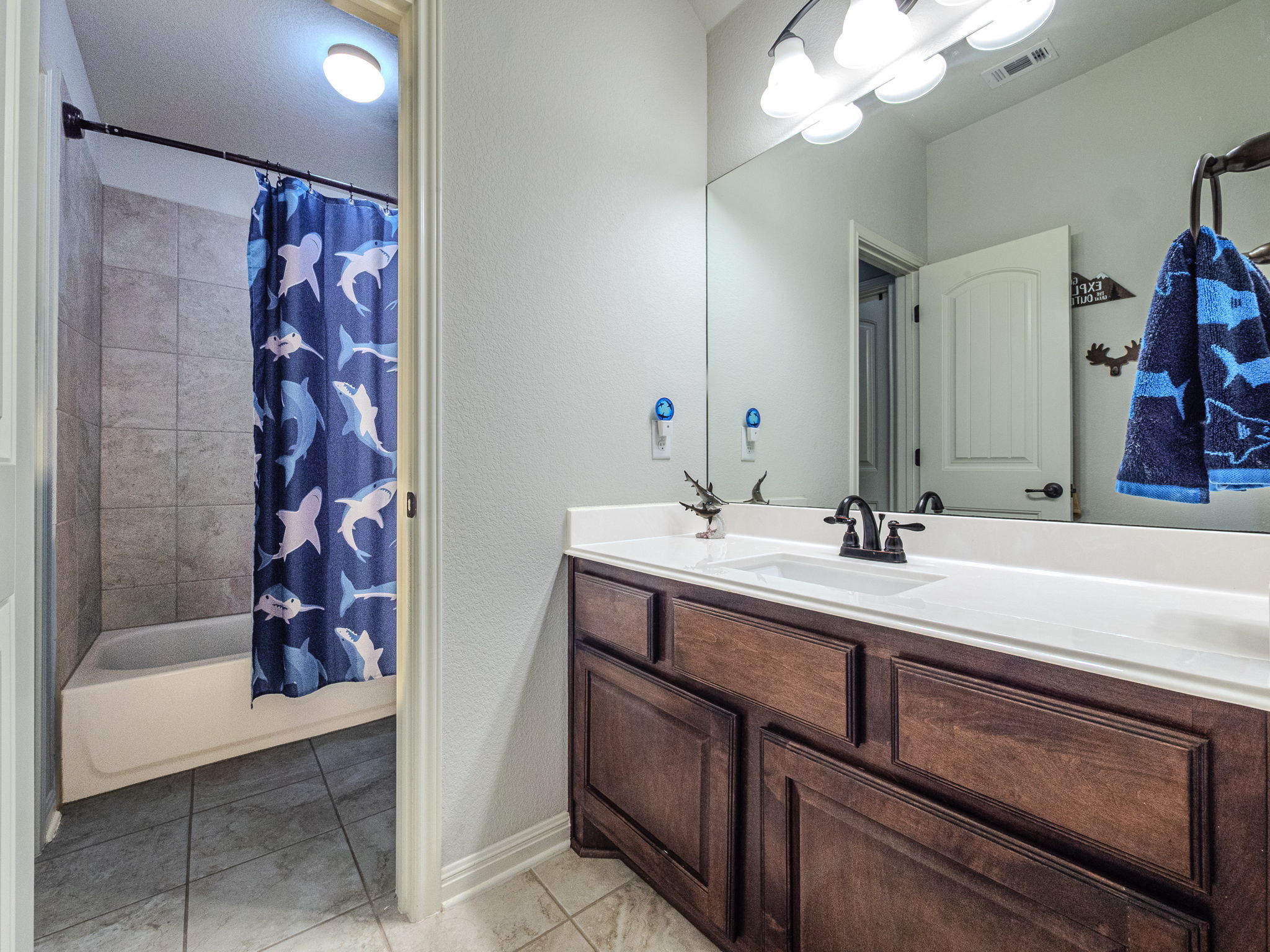 117 Arbor Point Drive Elgin, TX 78621 - Photo 29 of 40 a bathroom with a sink a vanity a mirror and bathtub