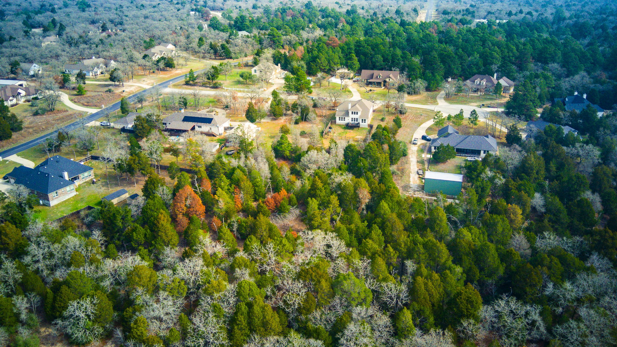 117 Arbor Point Drive Elgin, TX 78621 - Photo 36 of 40 a view of aerial view of residential houses with outdoor space and trees