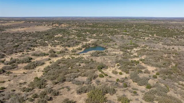 an aerial view of forest