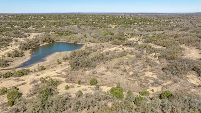 a view of a forest with lots of trees