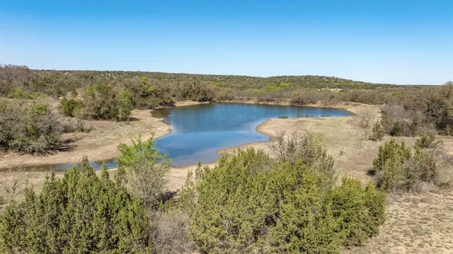 a view of a dry yard