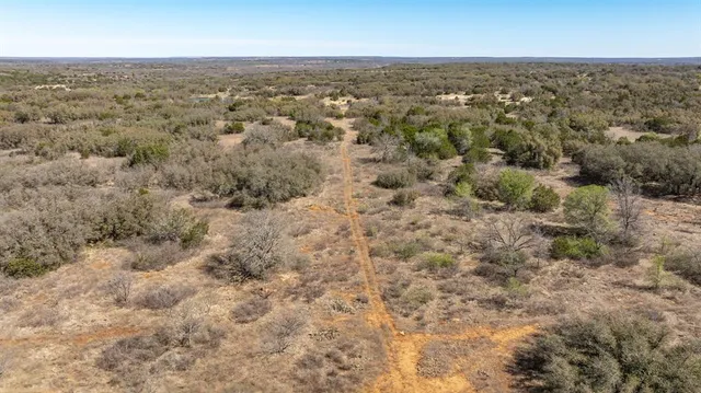 a view of a dry yard with trees