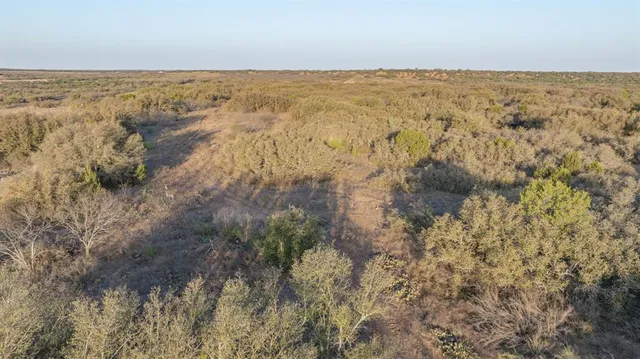 a view of a yard next to a building