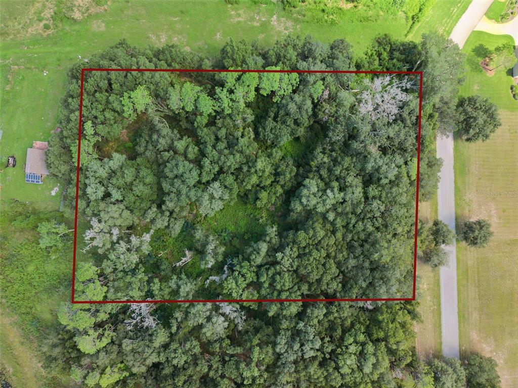 Grass Roots Road Groveland, FL 34736 - Photo 4 of 24 Gallery Image 4