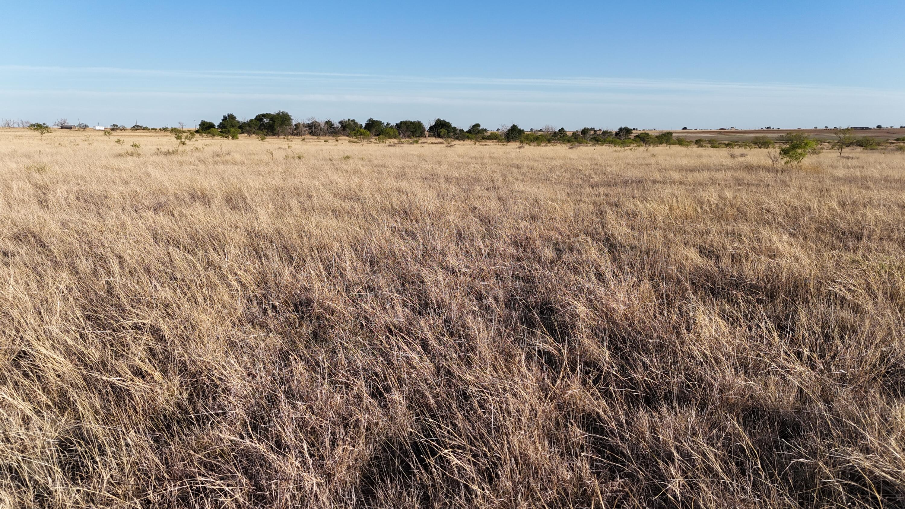 5400 C R Lubbock, TX 79415 - Photo 14 of 24 DJI_20260506192606_0706_D
