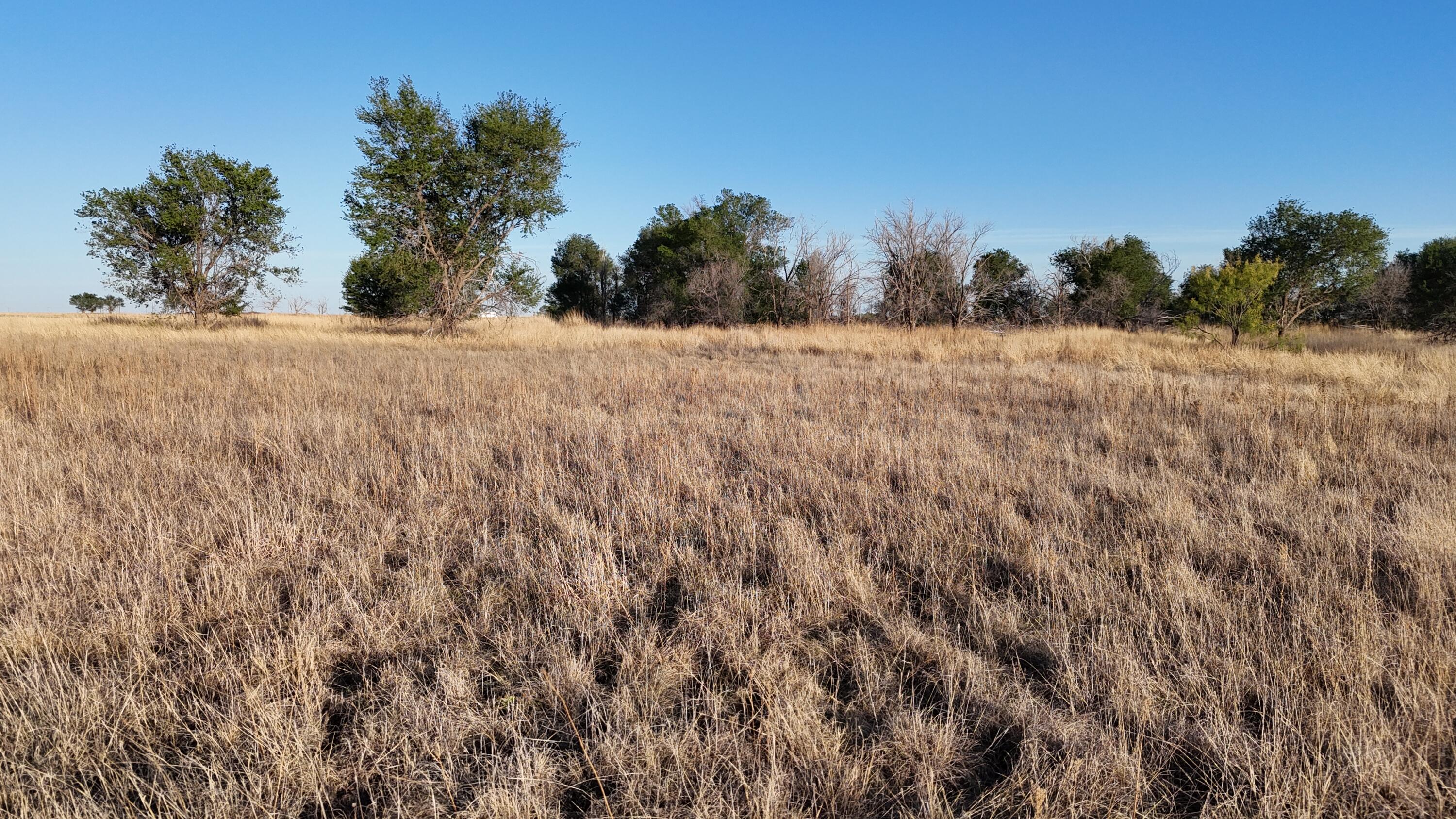 5400 C R Lubbock, TX 79415 - Photo 18 of 24 DJI_20260506194043_0728_D