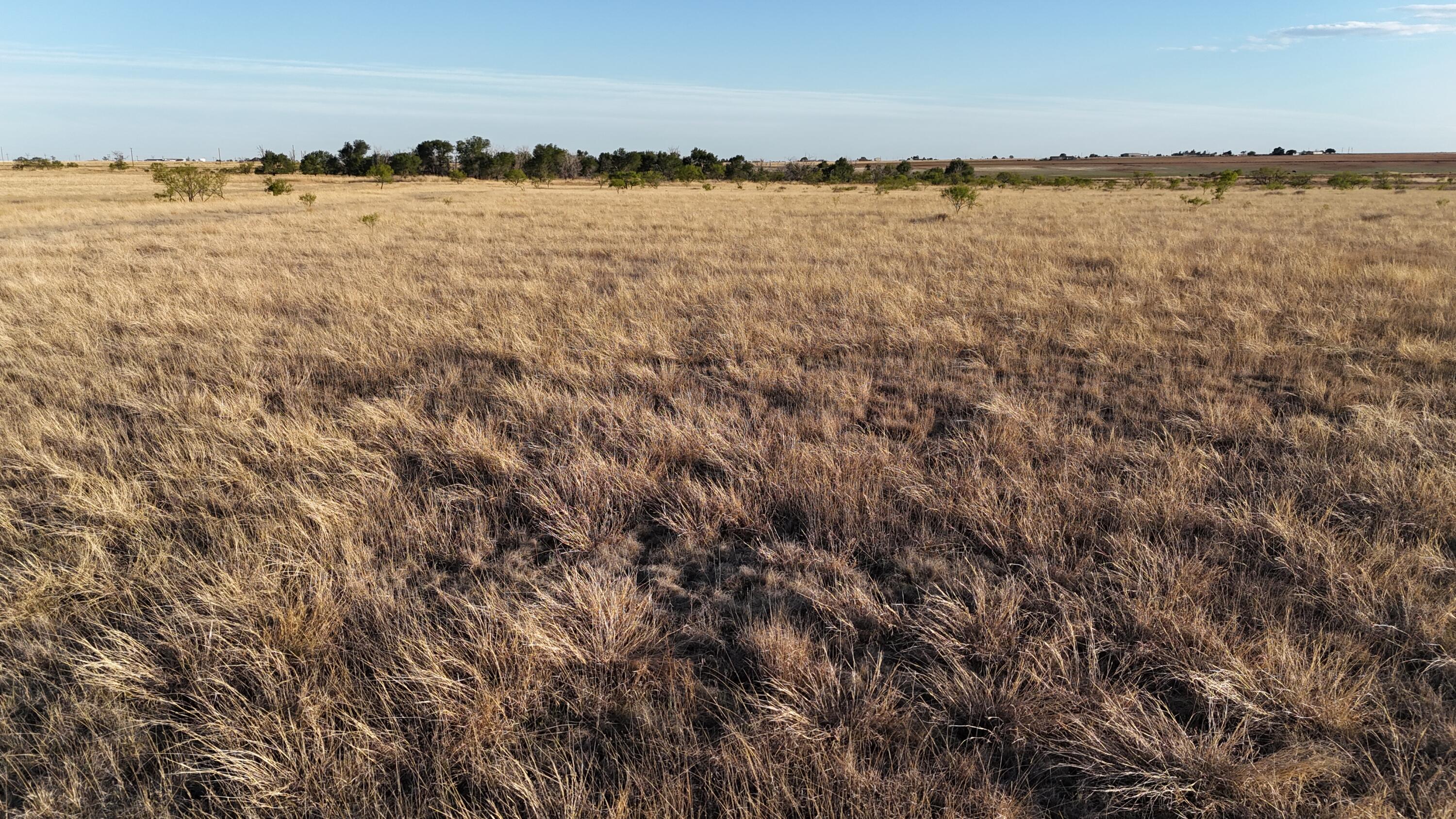 5400 C R Lubbock, TX 79415 - Photo 22 of 24 DJI_20260506194326_0733_D