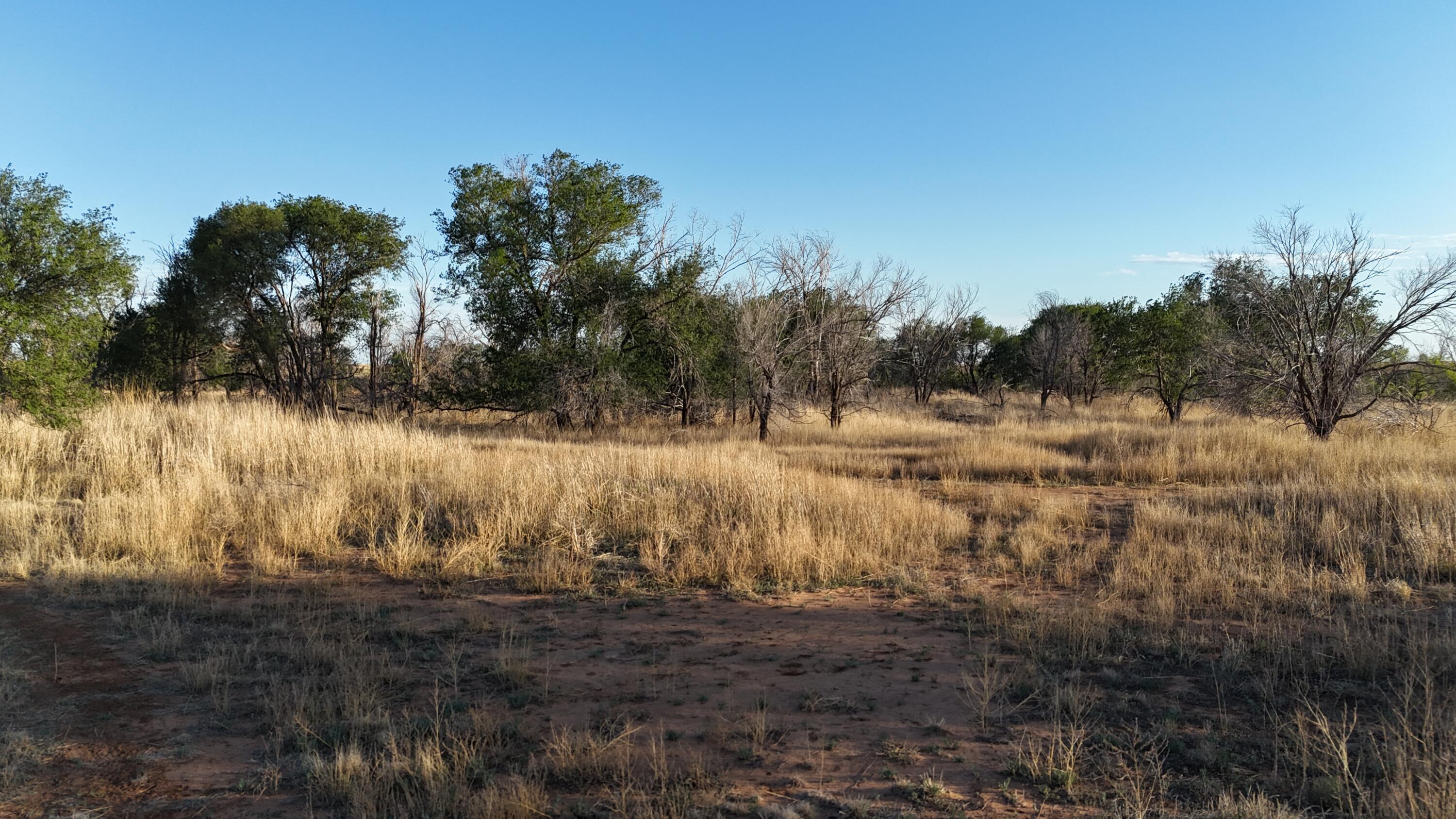 5400 C R Lubbock, TX 79415 - Photo 4 of 24 DJI_20260506193901_0719_D