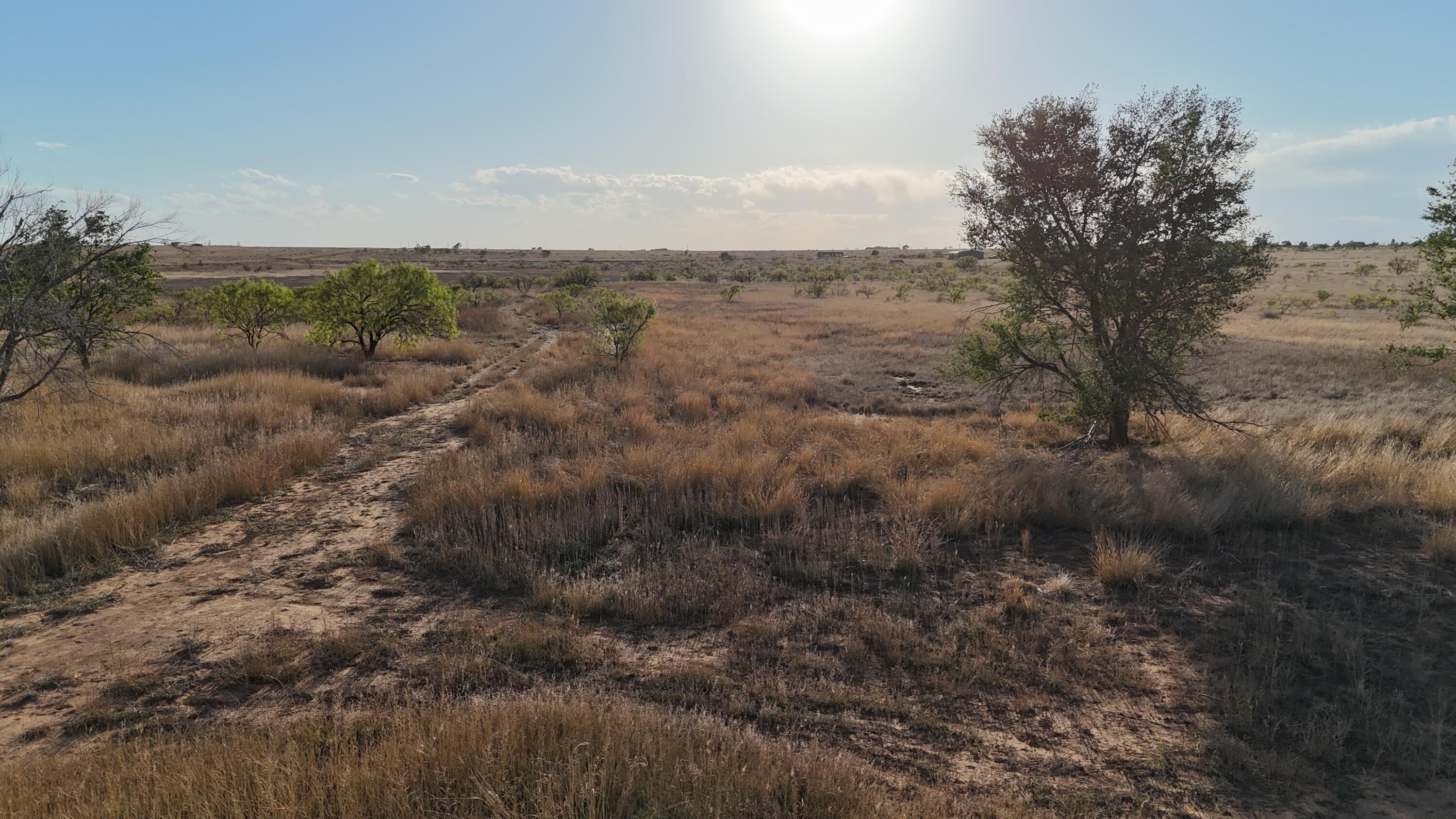 5400 C R Lubbock, TX 79415 - Photo 8 of 24 DJI_20260506192229_0696_D