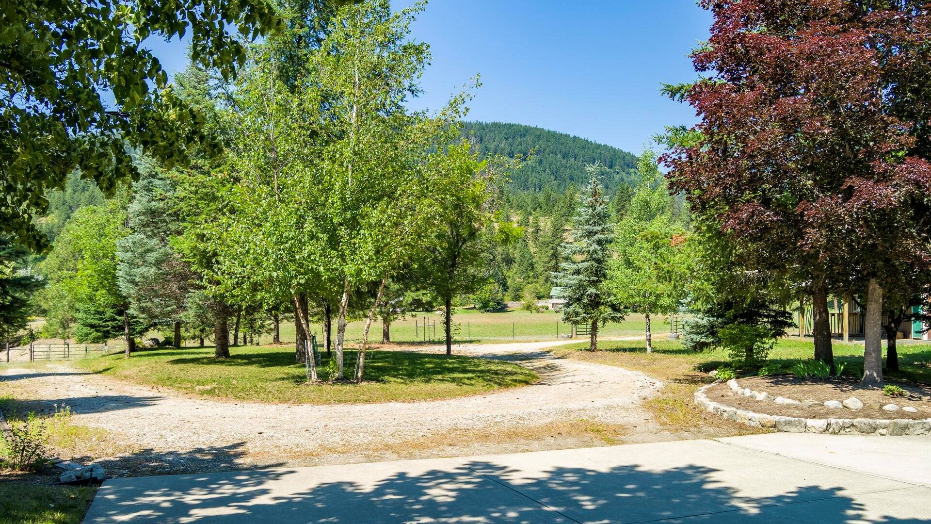 169 Barnaby Creek South Side Road Inchelium, WA 99138 - Photo 19 of 41