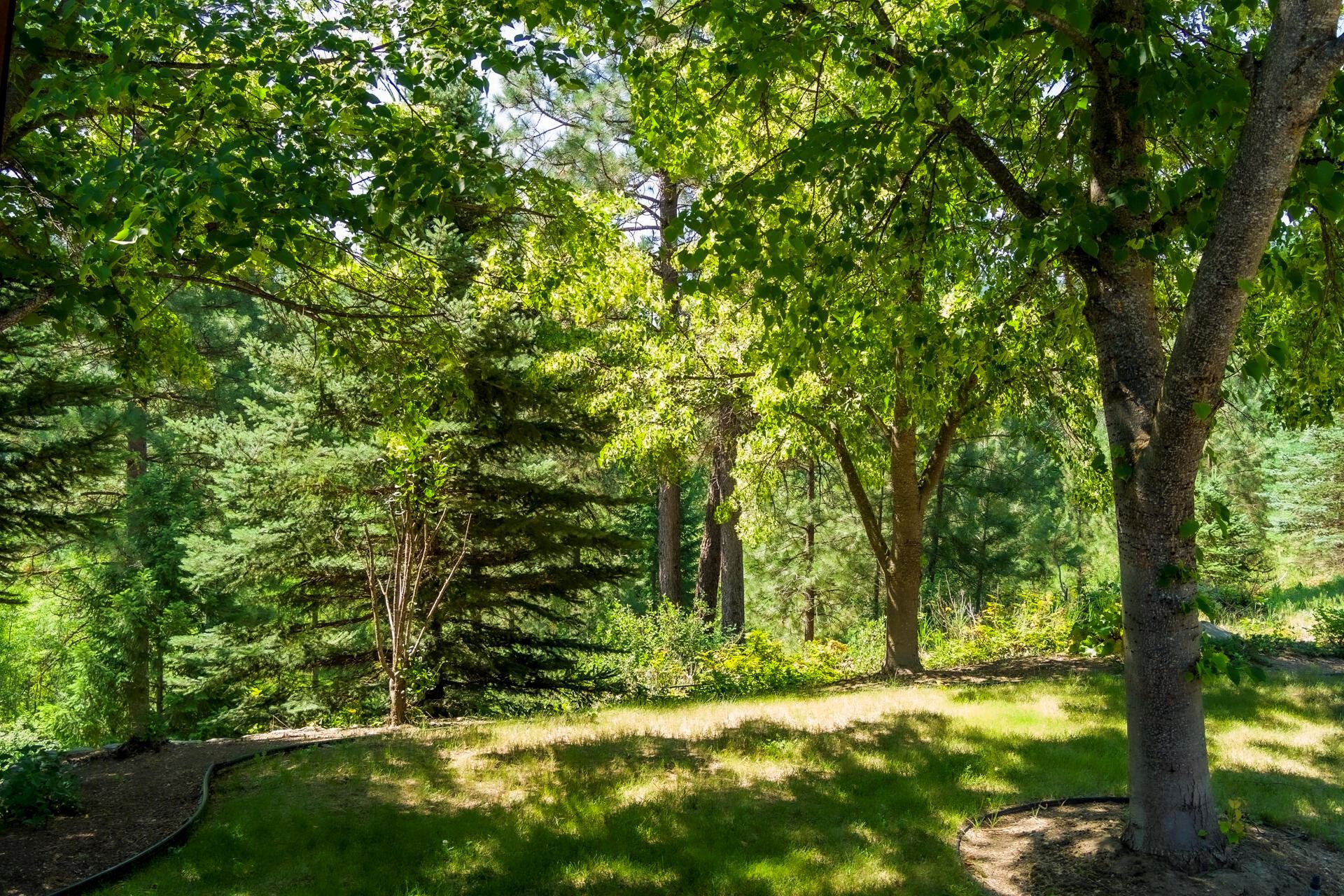 169 Barnaby Creek South Side Road Inchelium, WA 99138 - Photo 38 of 41