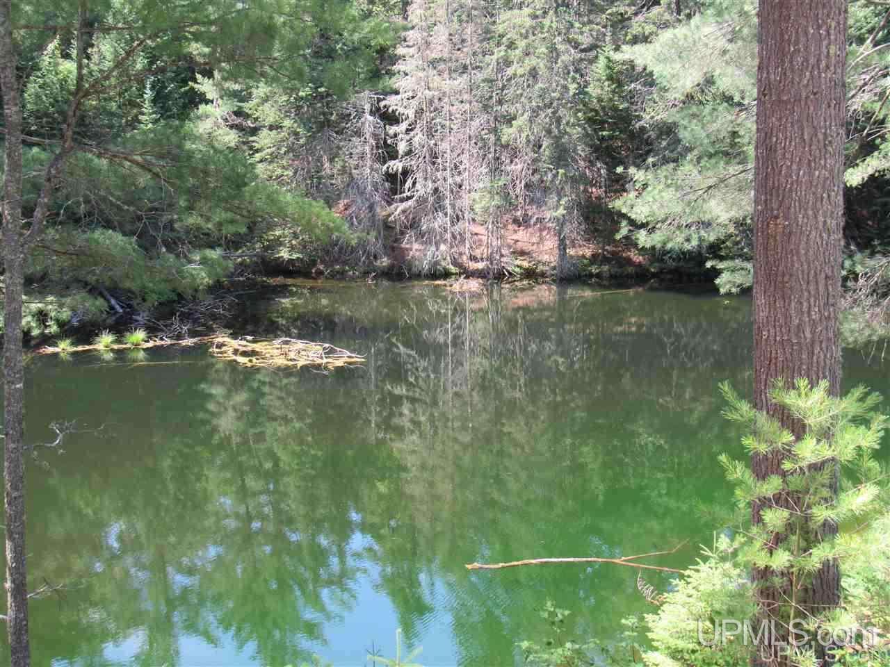 2804-acres Co Rd 442 McMillan, MI 49853 - Photo 29 of 48