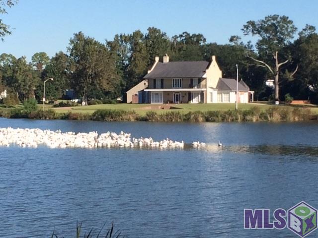 3267 East Lakeshore Drive Baton Rouge, LA 70808 - Photo 34 of 37 White Pelicans