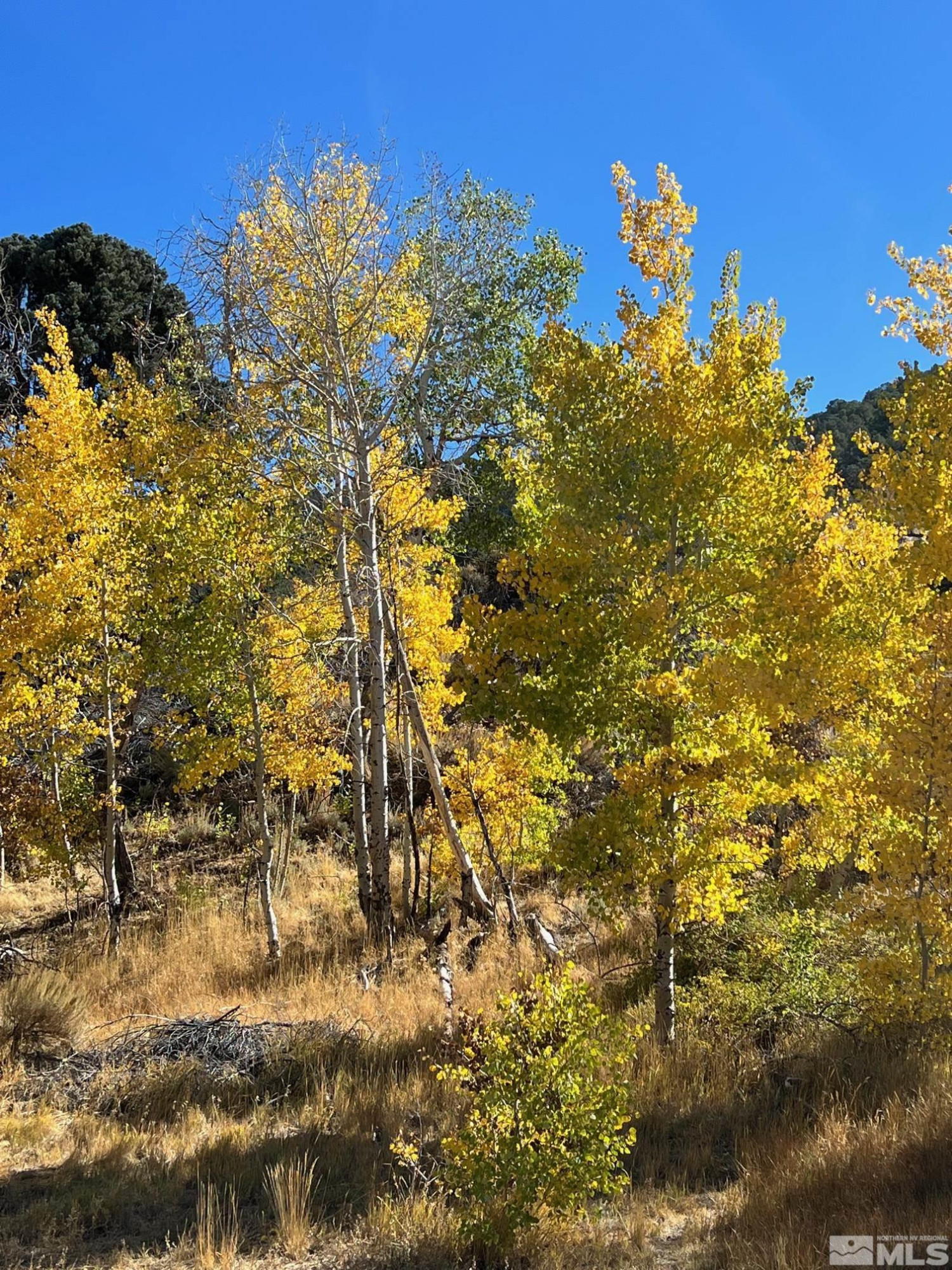 Tbd Eldorado Canyon Road Carson City, NV 89701 - Photo 18 of 20 Photo 21