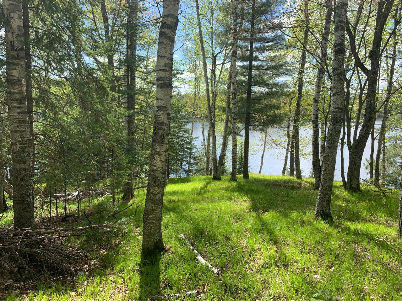 On On Dombrowski Road Harshaw, WI 54529 - Photo 15 of 20 Gallery Image 15