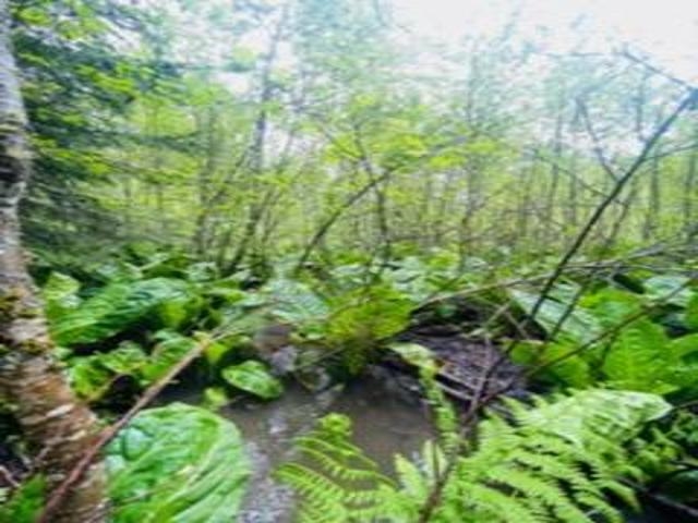 8657 Spring Valley Road Elk, WA 99009 - Photo 26 of 47