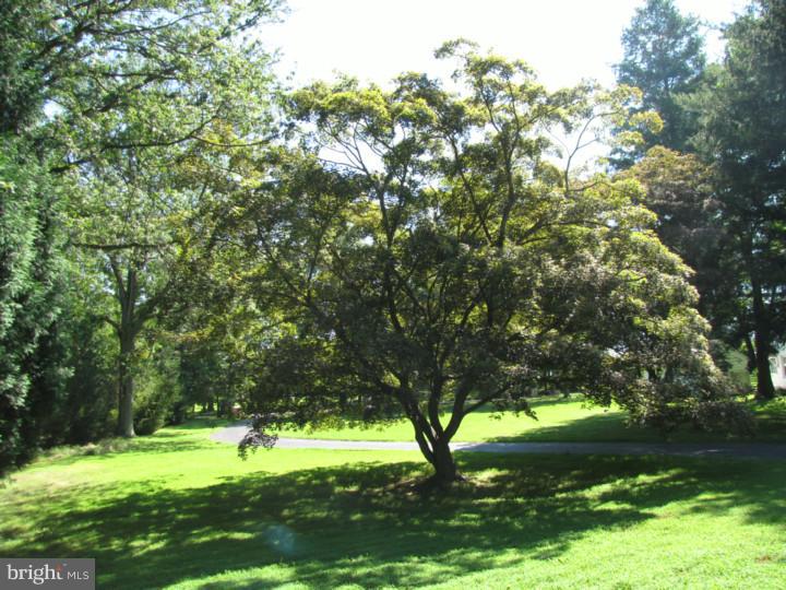 4668 Province Line Road Princeton, NJ 08540 - Photo 3 of 22 View from Front Door