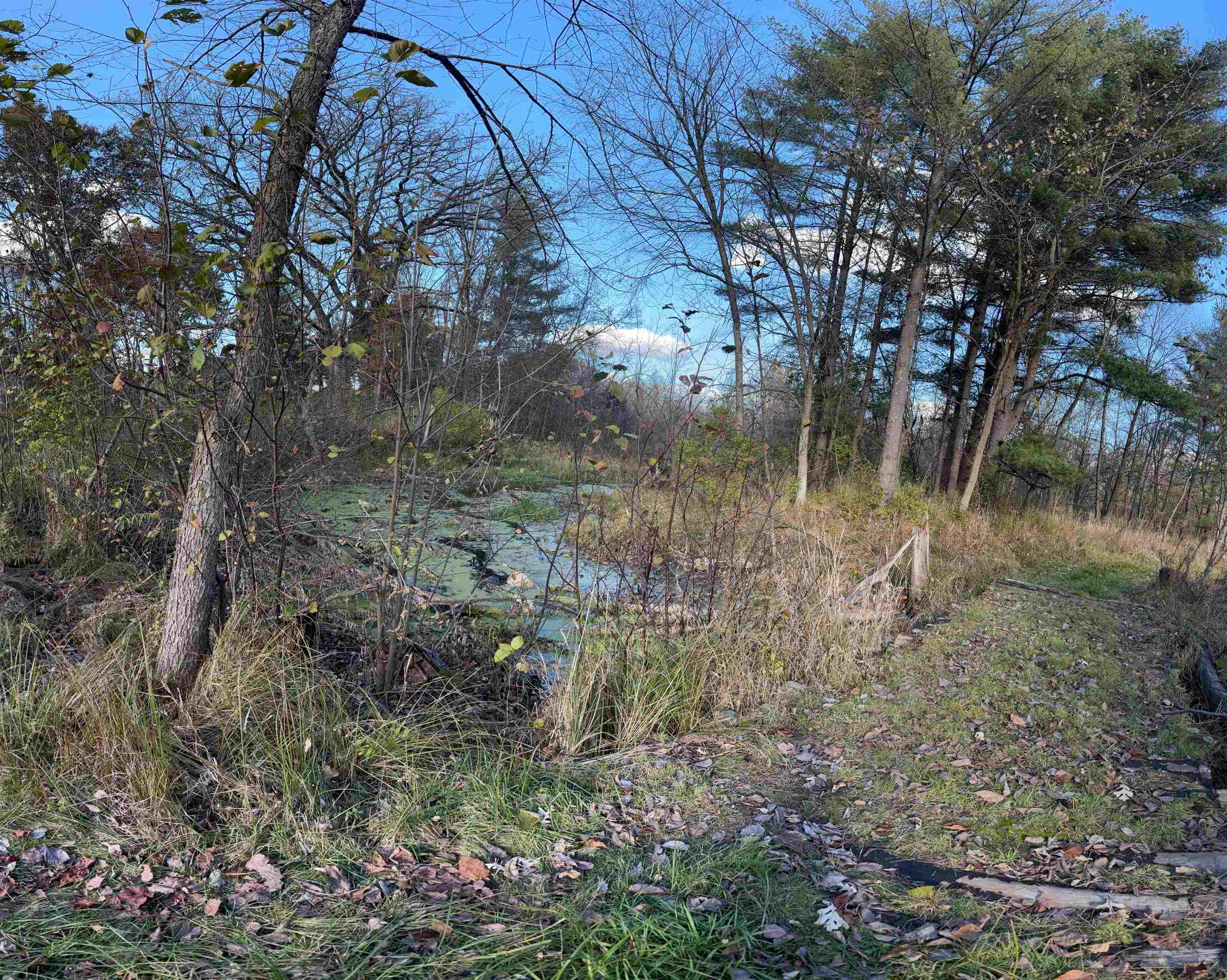 N6270 County Rd B Westfield, WI 53964 - Photo 43 of 47