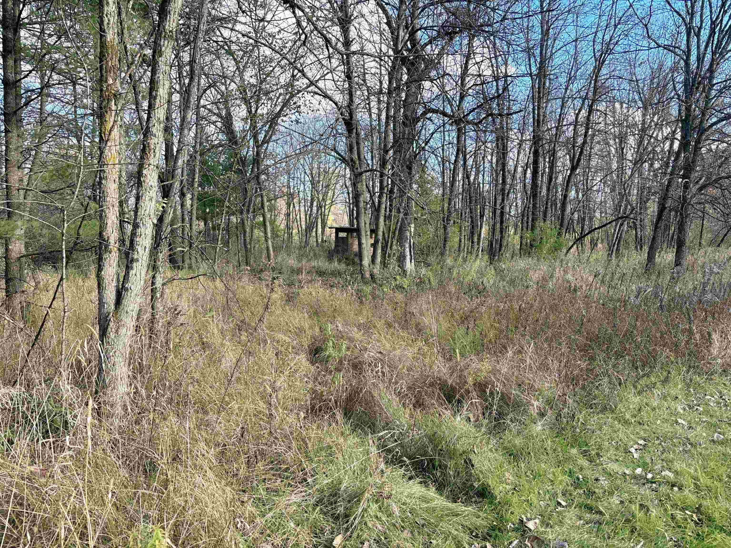 N6270 County Rd B Westfield, WI 53964 - Photo 44 of 47