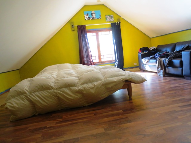 802 West Altgeld Street Chicago, IL 60614 - Photo 16 of 18 a bed sitting in a bedroom next to a window