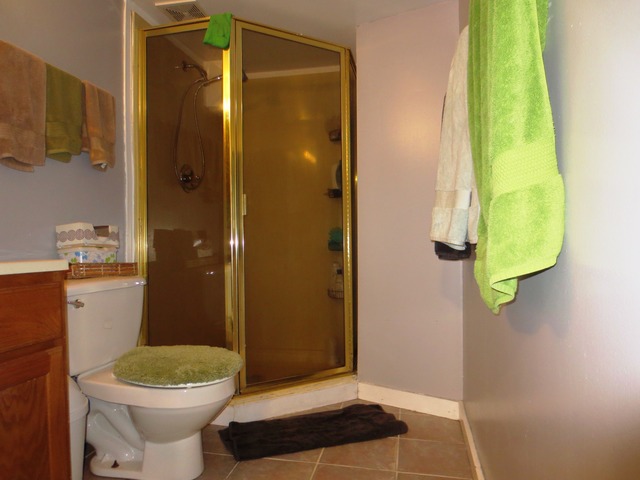 802 West Altgeld Street Chicago, IL 60614 - Photo 10 of 18 a bathroom with a toilet and a shower