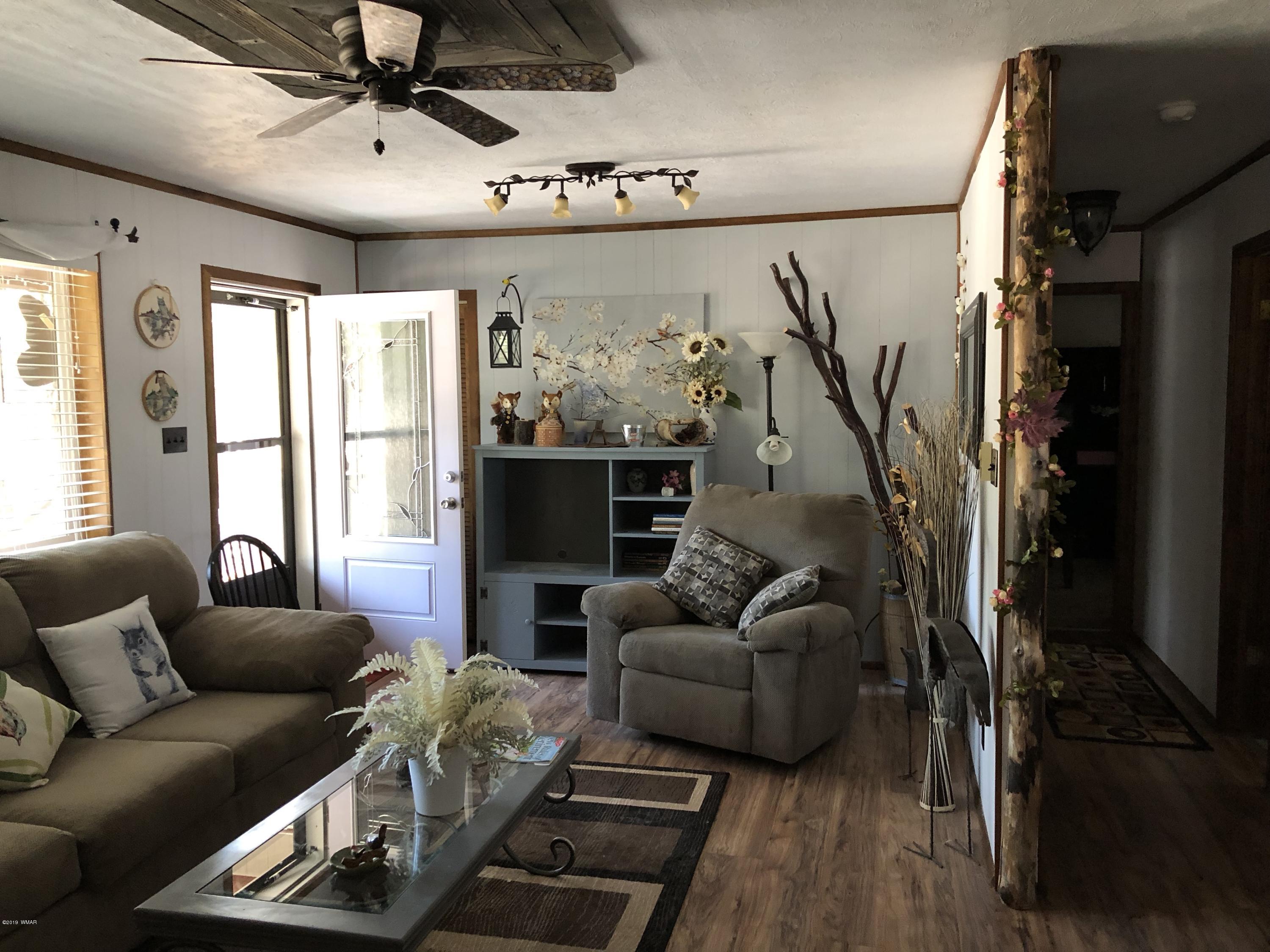 3 County Road 2078 Alpine, AZ 85920 - Photo 11 of 41