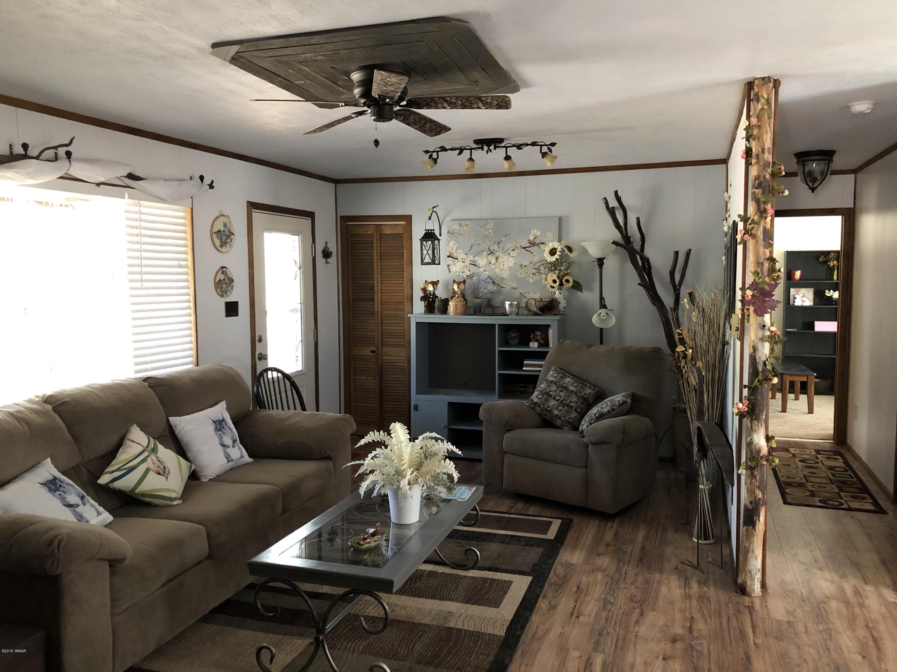 3 County Road 2078 Alpine, AZ 85920 - Photo 34 of 41