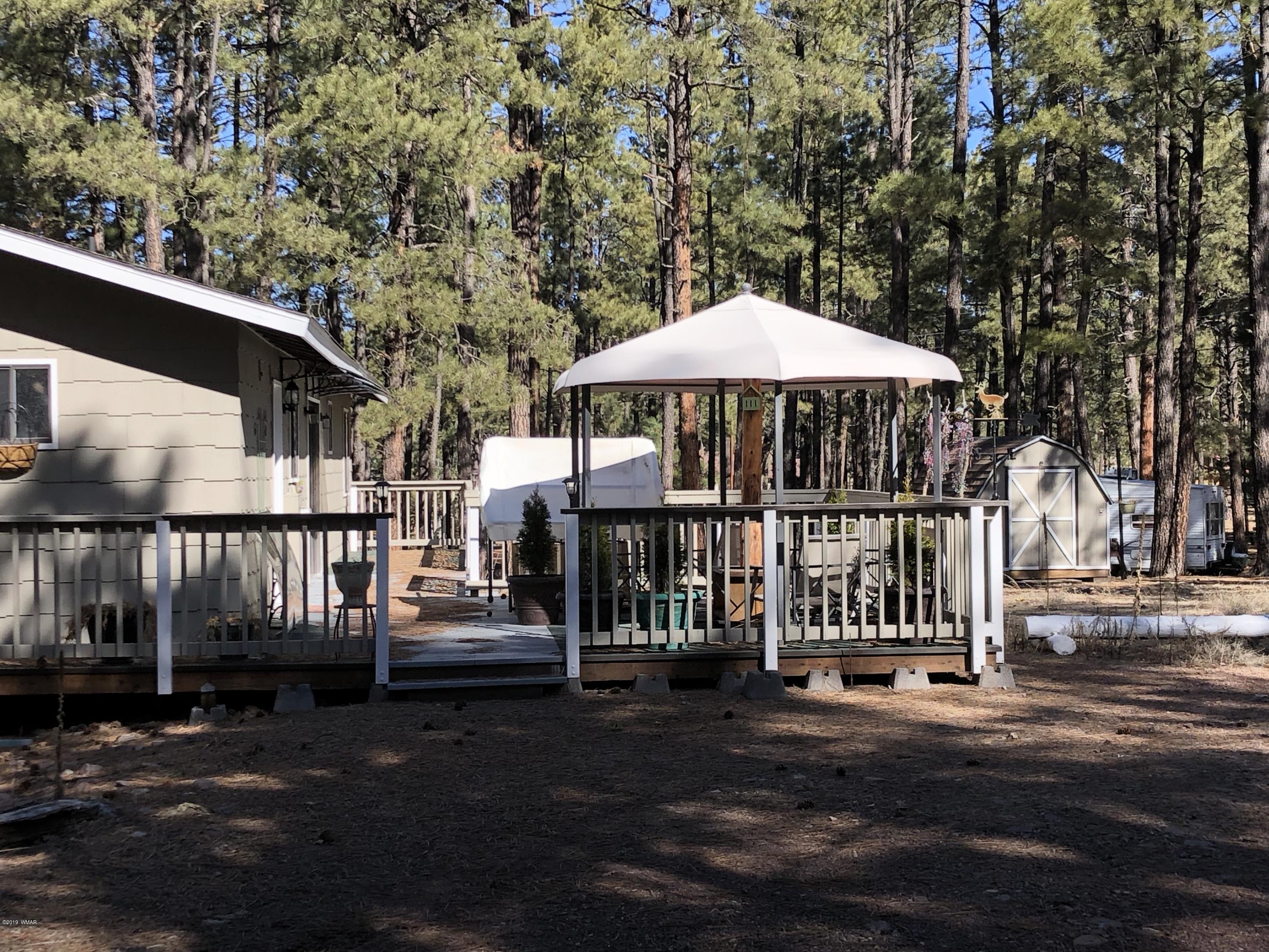 3 County Road 2078 Alpine, AZ 85920 - Photo 38 of 41