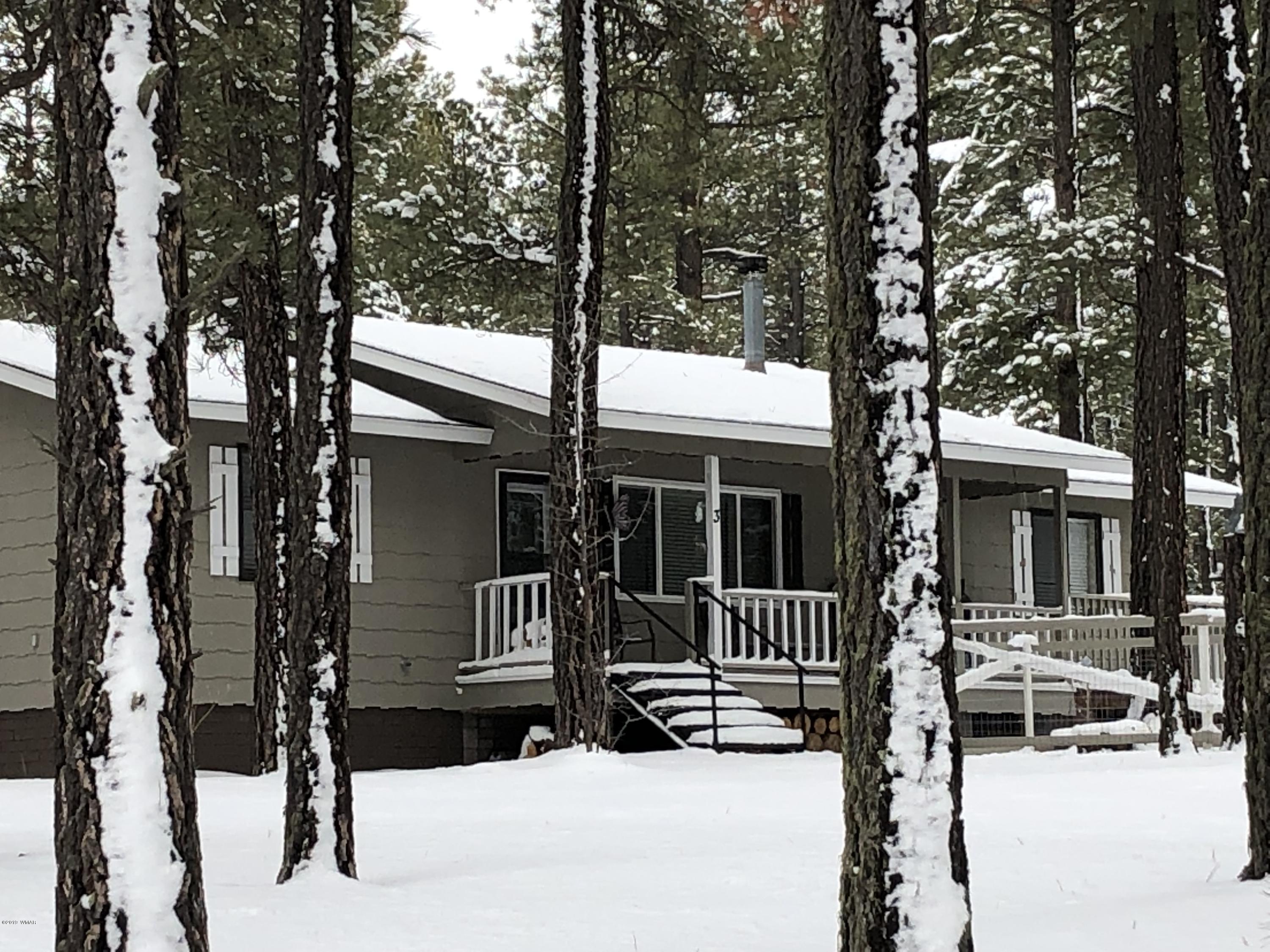 3 County Road 2078 Alpine, AZ 85920 - Photo 41 of 41