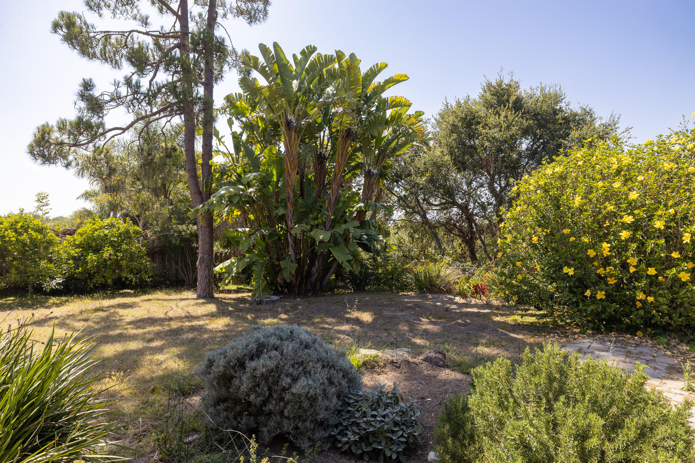5256 James Road Santa Barbara, CA 93111 - Photo 31 of 36 Lawn